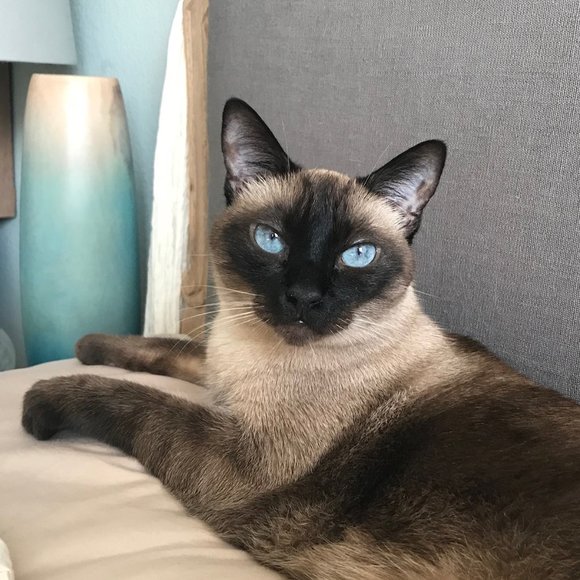 Meet your Posher, Stefeny - Picture 2 of 3